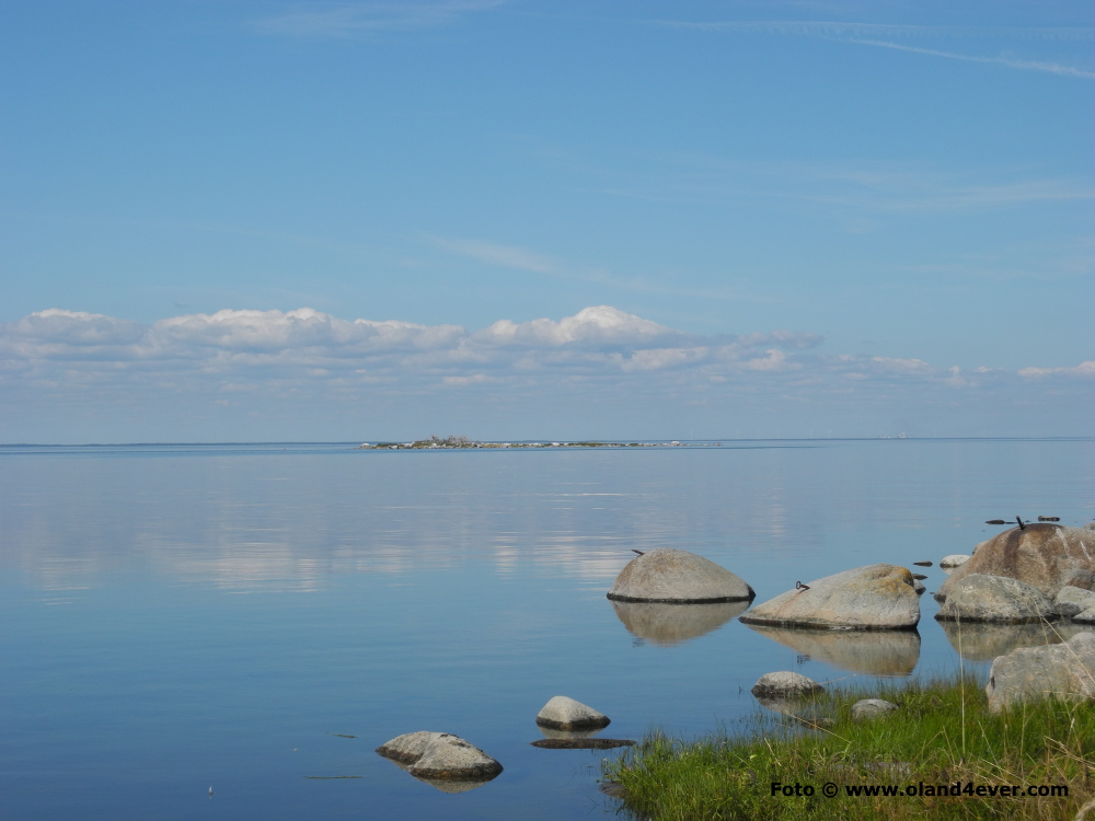 Stora Barnäsholmen utanför Borgholm sedd från Stenudden, Sjöstugan känd för din skarvkoloni